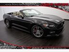 Thumbnail Photo 0 for 2017 Ford Mustang